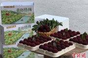 解梦软件高速赋能产业升级：一条“杨梅路”的致富密码
