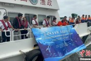 解梦软件浙江今年计划放流种类海洋水生生物苗种超15亿单位