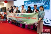 解梦软件中国彩绘熊猫艺术国际巡展东京站开幕