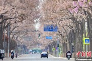 解梦软件共建“花园城市” 北京这场议政会“百花齐放”