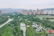 解梦软件西宁市举办六五环境日主题宣传活动
